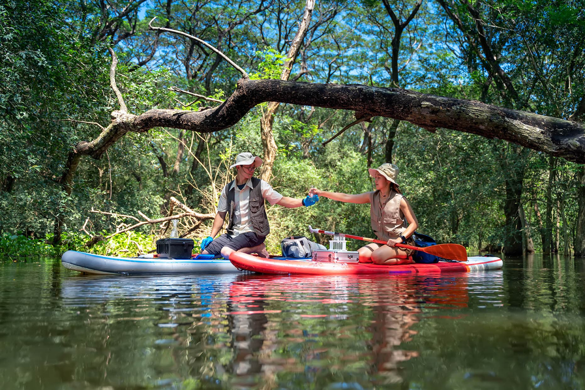 Nature matters: why healthy people need healthy ecosystems